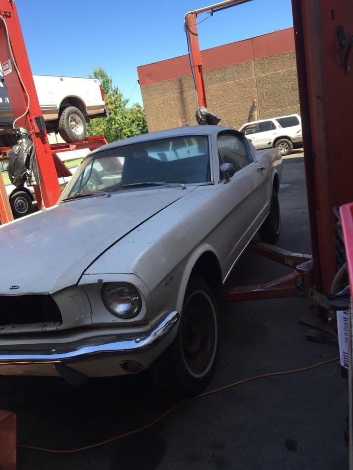 A classic white Ford Mustang fastback raised on the lift at St. Helena Auto Repair.
