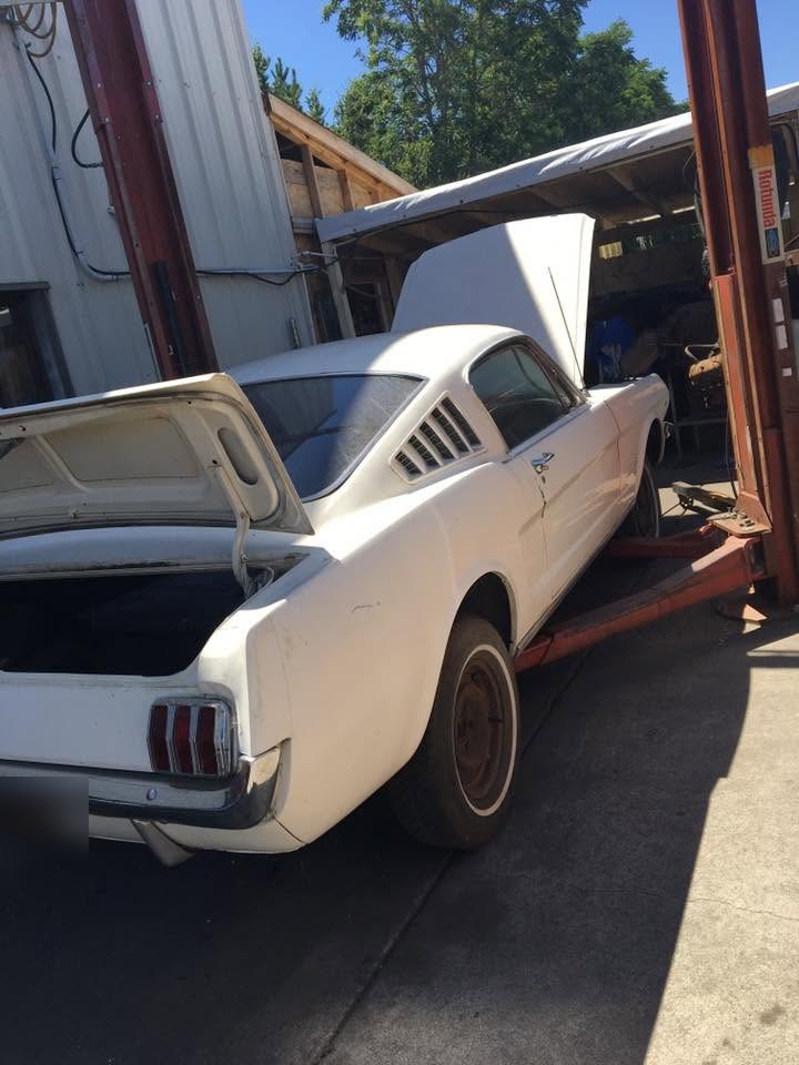A white Ford Mustang fastback with the hood and trunk open, up on the lift for restoration work.